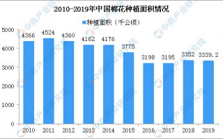 统计师和数据分析，统计员与数据分析专员的区别